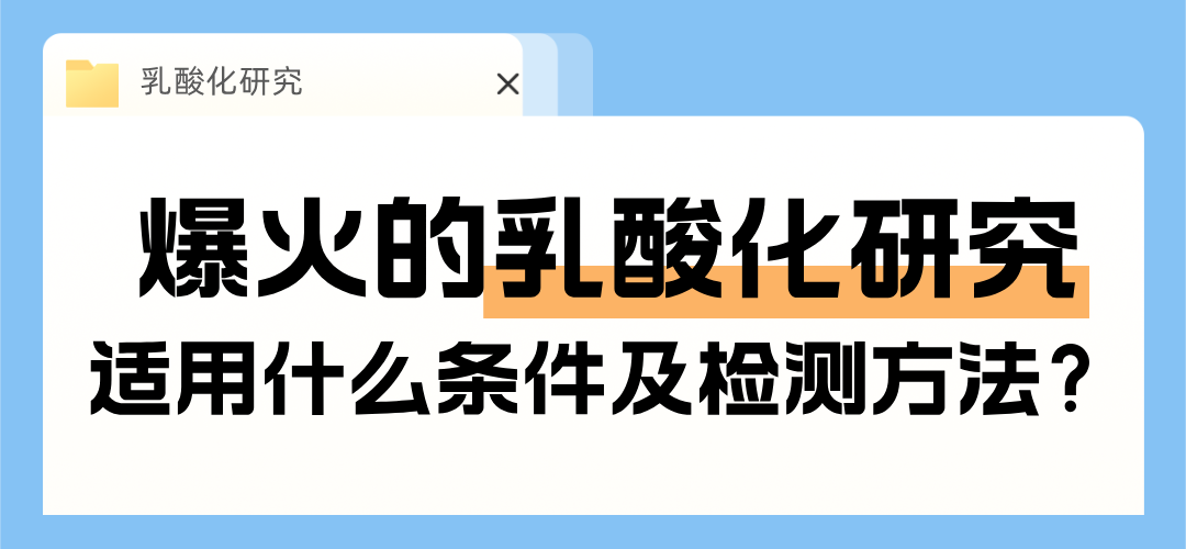 /?news_23/218.html