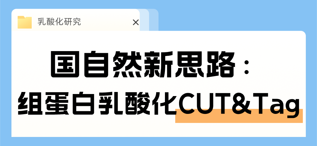 /?news_23/220.html