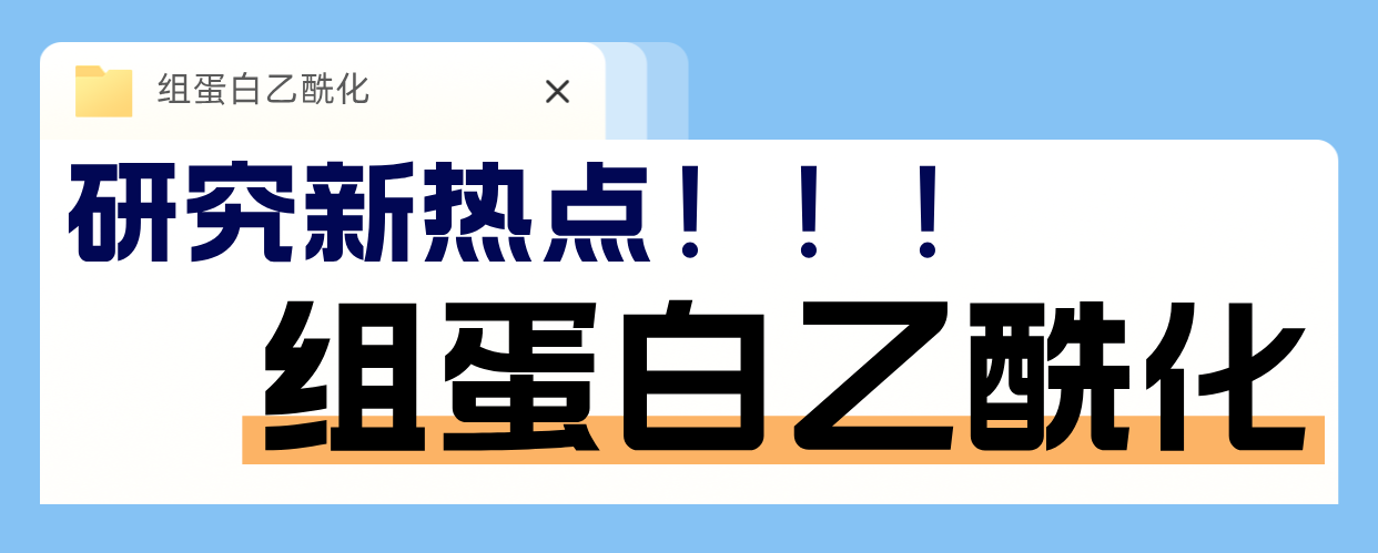 /?news_23/225.html